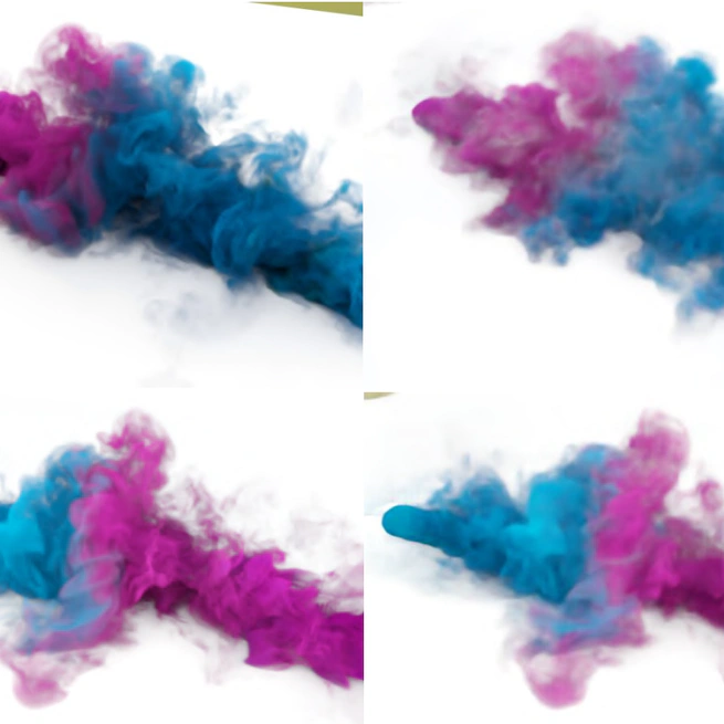 NeuSmoke: Efficient Smoke Reconstruction and View Synthesis with Neural Transportation Fields